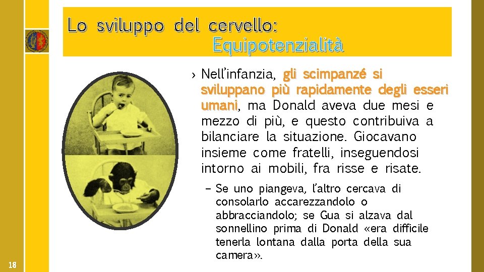 Lo sviluppo del cervello: Equipotenzialità › Nell’infanzia, gli scimpanzé si sviluppano più rapidamente degli