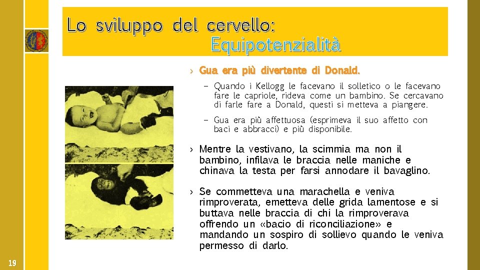 Lo sviluppo del cervello: Equipotenzialità › Gua era più divertente di Donald. – Quando