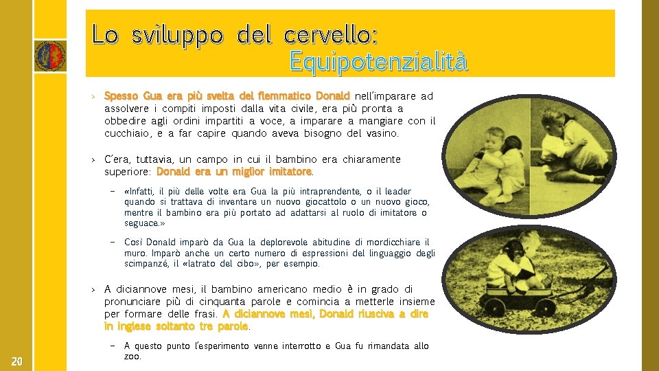 Lo sviluppo del cervello: Equipotenzialità › Spesso Gua era più svelta del flemmatico Donald