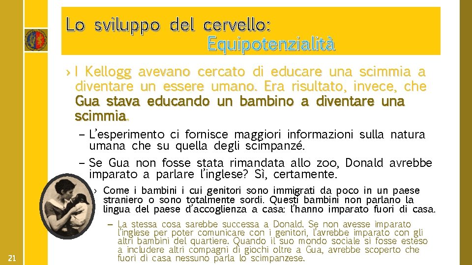 Lo sviluppo del cervello: Equipotenzialità › I Kellogg avevano cercato di educare una scimmia