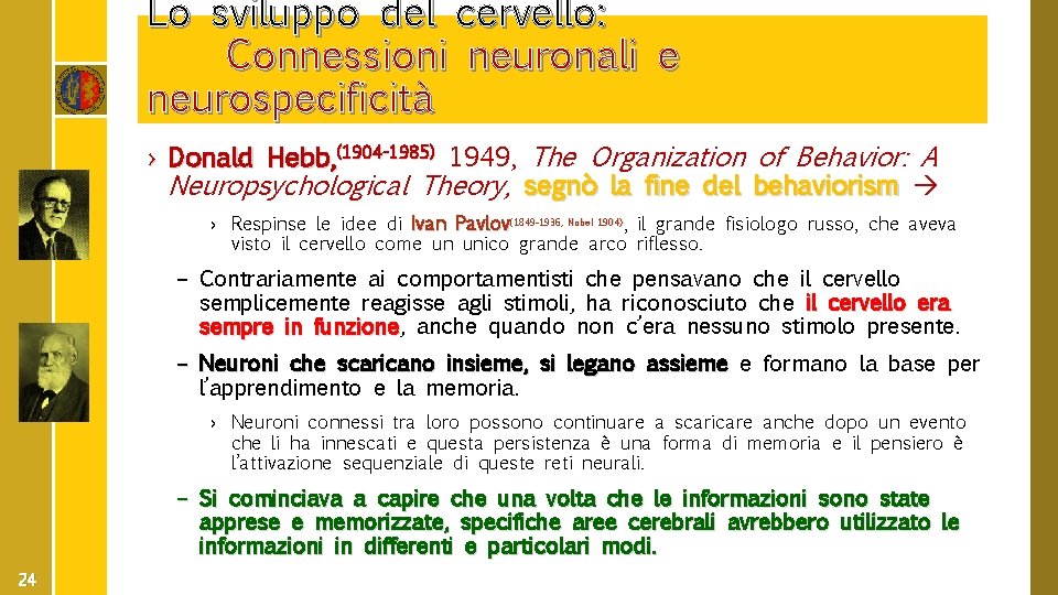 Lo sviluppo del cervello: Connessioni neuronali e neurospecificità › Donald Hebb, (1904 -1985) 1949,