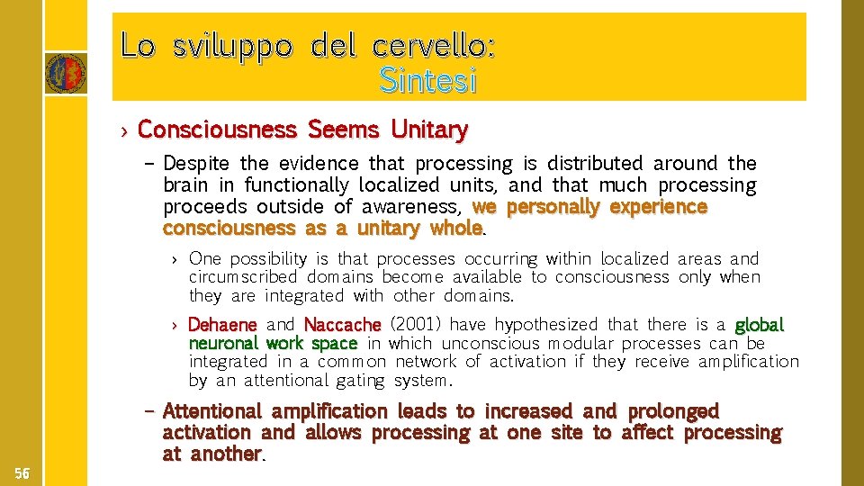 Lo sviluppo del cervello: Sintesi › Consciousness Seems Unitary – Despite the evidence that