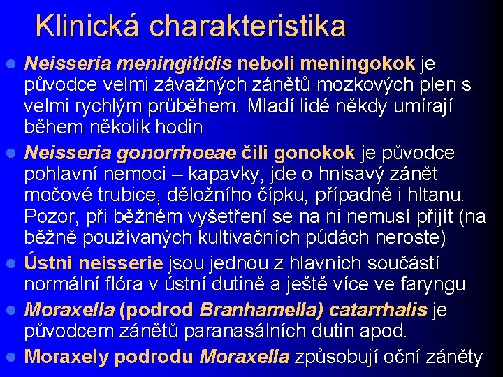 Klinická charakteristika l l l Neisseria meningitidis neboli meningokok je původce velmi závažných zánětů