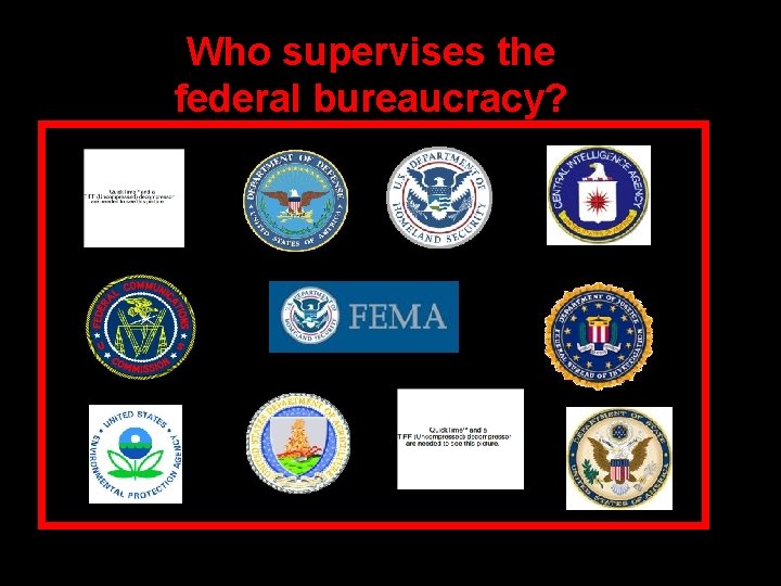 Who supervises the federal bureaucracy? 