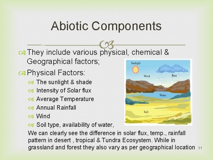 Abiotic Components They include various physical, chemical & Geographical factors; Physical Factors: The sunlight