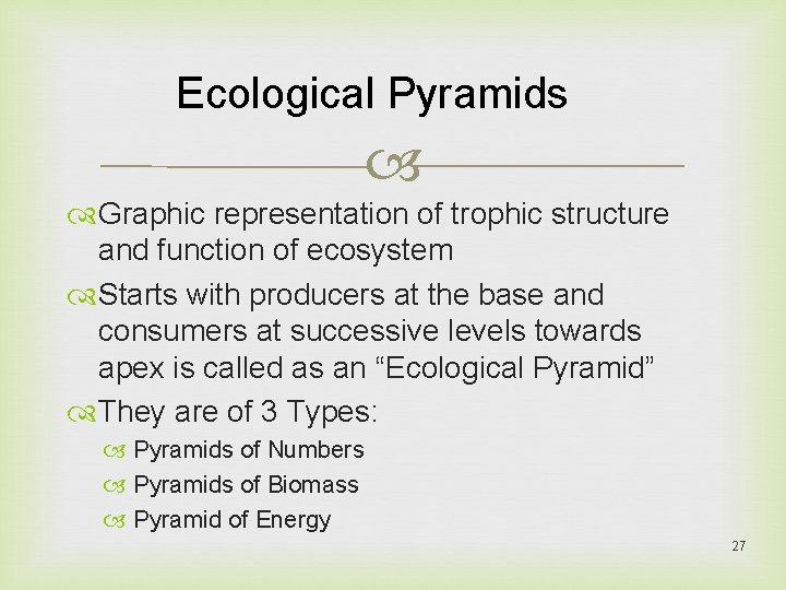 Ecological Pyramids Graphic representation of trophic structure and function of ecosystem Starts with producers