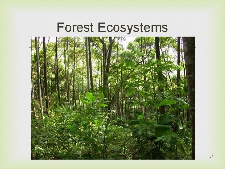Forest Ecosystems 54 