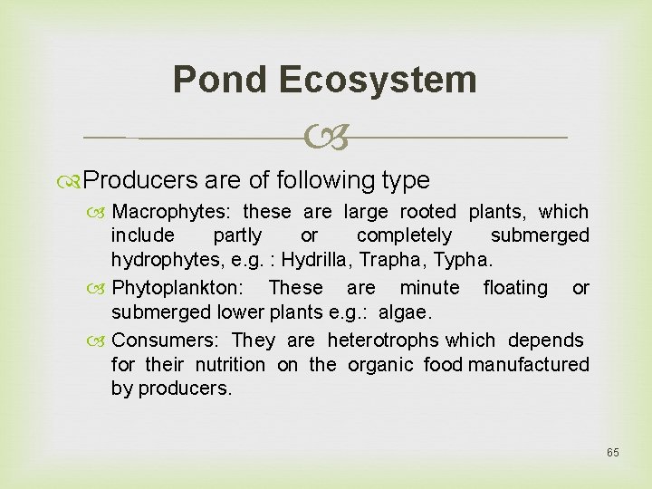 Pond Ecosystem Producers are of following type Macrophytes: these are large rooted plants, which