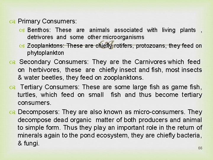  Primary Consumers: Benthos: These are animals associated with living plants , detrivores and