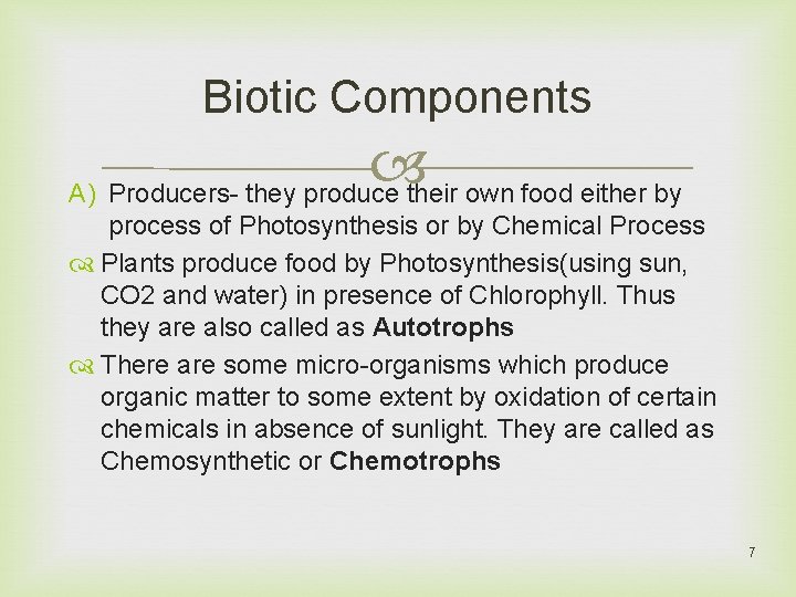 Biotic Components A) Producers- they produce their own food either by process of Photosynthesis