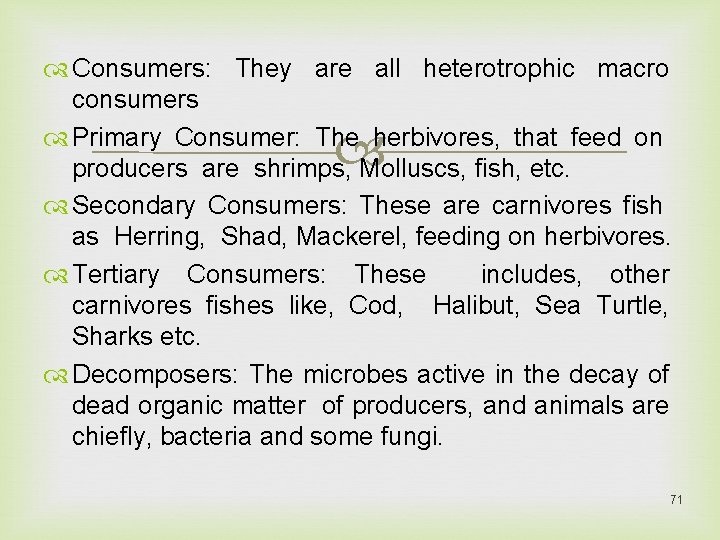  Consumers: They are all heterotrophic macro consumers Primary Consumer: The herbivores, that feed