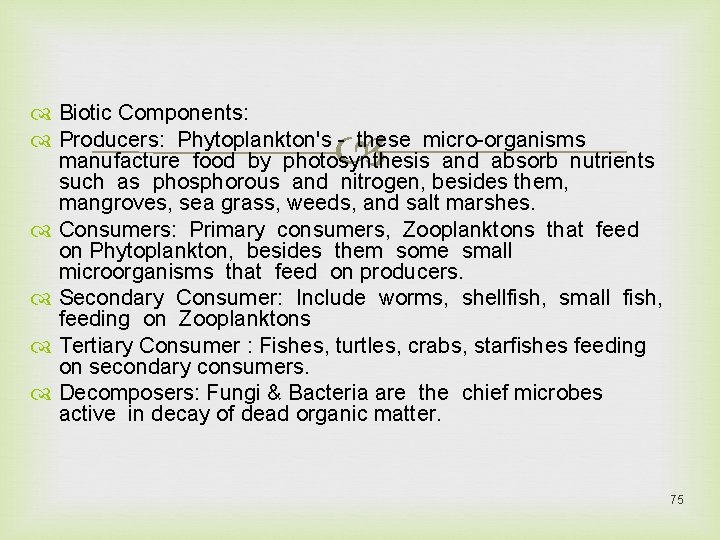  Biotic Components: Producers: Phytoplankton's - these micro-organisms manufacture food by photosynthesis and absorb