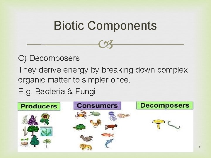 Biotic Components C) Decomposers They derive energy by breaking down complex organic matter to