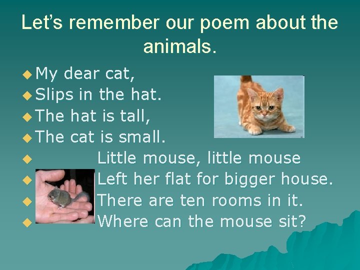 Let’s remember our poem about the animals. u My dear cat, u Slips in