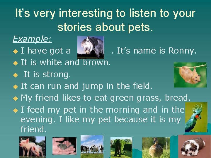 It’s very interesting to listen to your stories about pets. Example: u I have