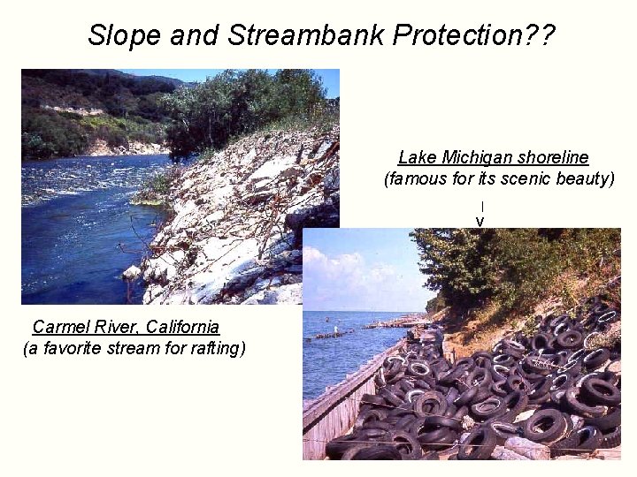 Slope and Streambank Protection? ? Lake Michigan shoreline (famous for its scenic beauty) |