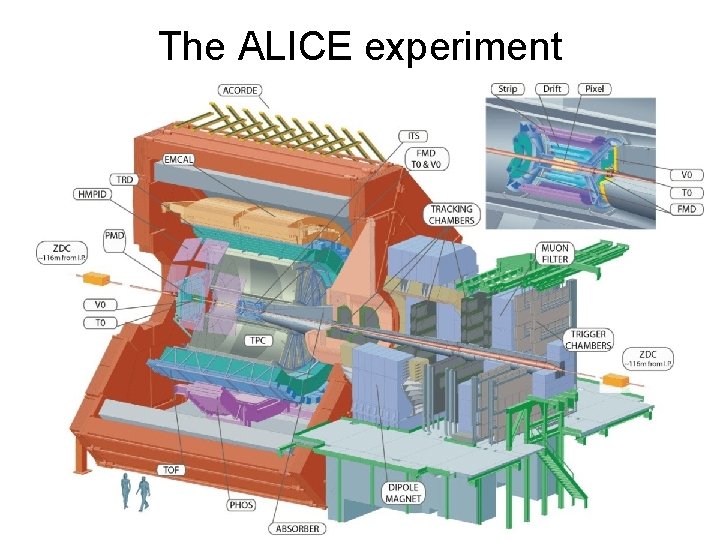 The ALICE experiment 