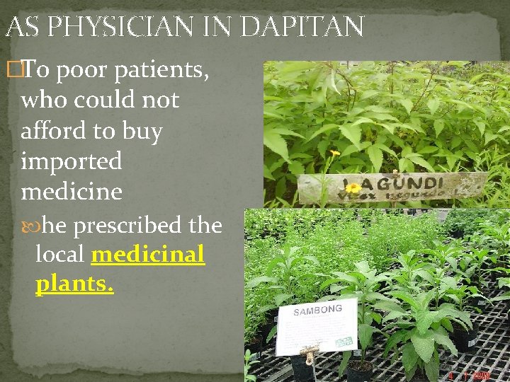 AS PHYSICIAN IN DAPITAN �To poor patients, who could not afford to buy imported