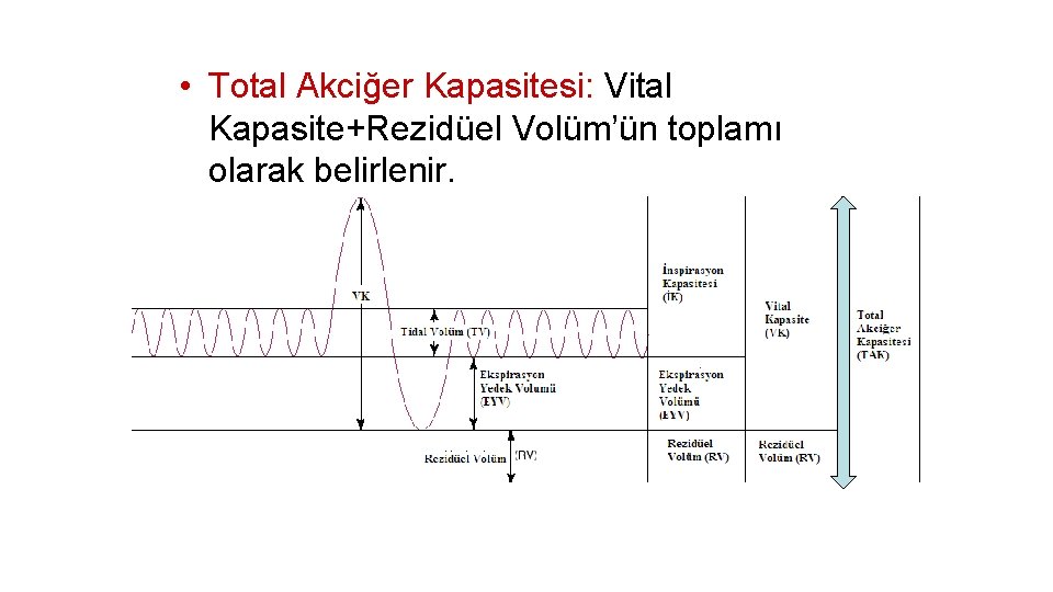  • Total Akciğer Kapasitesi: Vital Kapasite+Rezidüel Volüm’ün toplamı olarak belirlenir. 