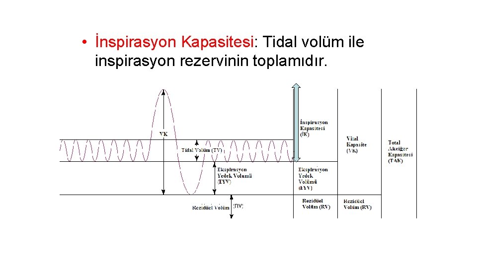  • İnspirasyon Kapasitesi: Tidal volüm ile inspirasyon rezervinin toplamıdır. 