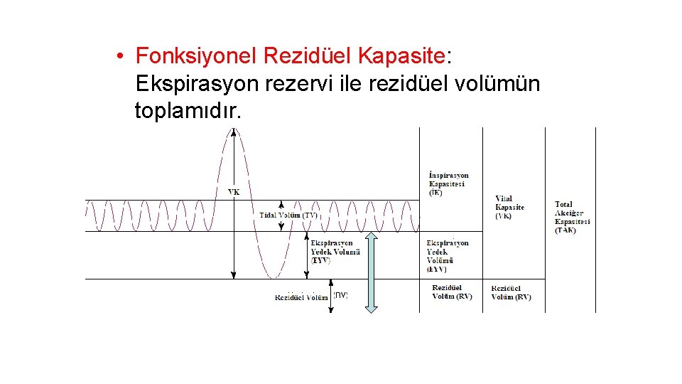  • Fonksiyonel Rezidüel Kapasite: Ekspirasyon rezervi ile rezidüel volümün toplamıdır. 