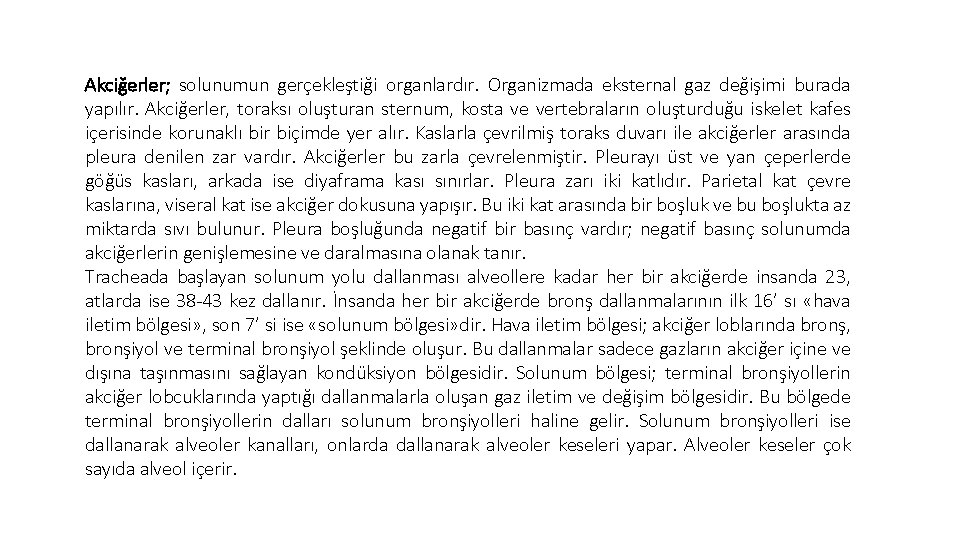 Akciğerler; solunumun gerçekleştiği organlardır. Organizmada eksternal gaz değişimi burada yapılır. Akciğerler, toraksı oluşturan sternum,