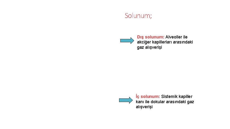 Solunum; Dış solunum: Alveoller ile akciğer kapillerları arasındaki gaz alışverişi İç solunum: Sistemik kapiller