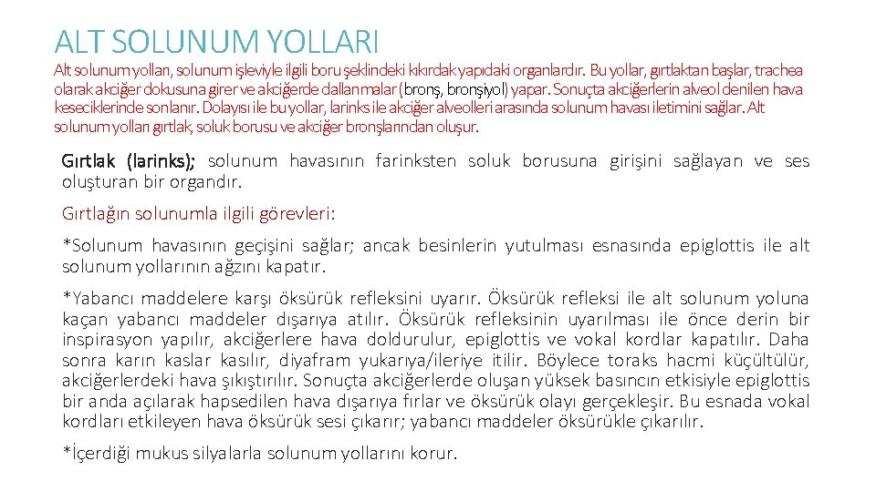 ALT SOLUNUM YOLLARI Alt solunum yolları, solunum işleviyle ilgili boru şeklindeki kıkırdak yapıdaki organlardır.