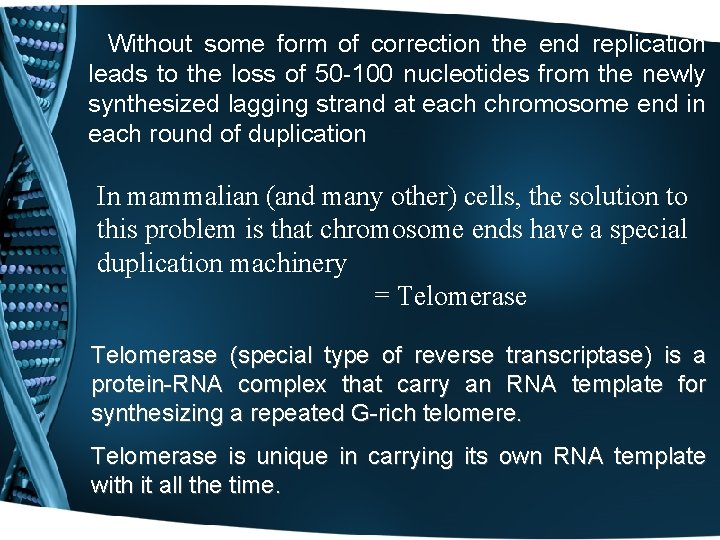 Without some form of correction the end replication leads to the loss of 50