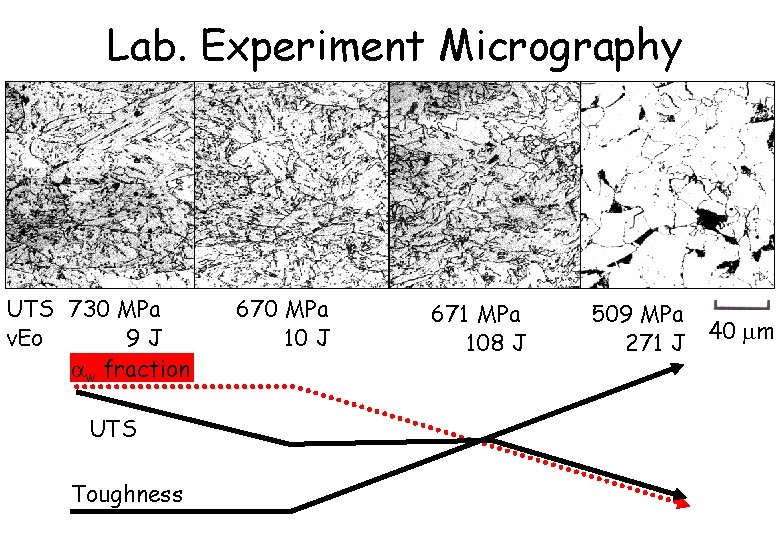 Lab. Experiment Micrography UTS 730 MPa v. Eo 9 J w fraction UTS Toughness