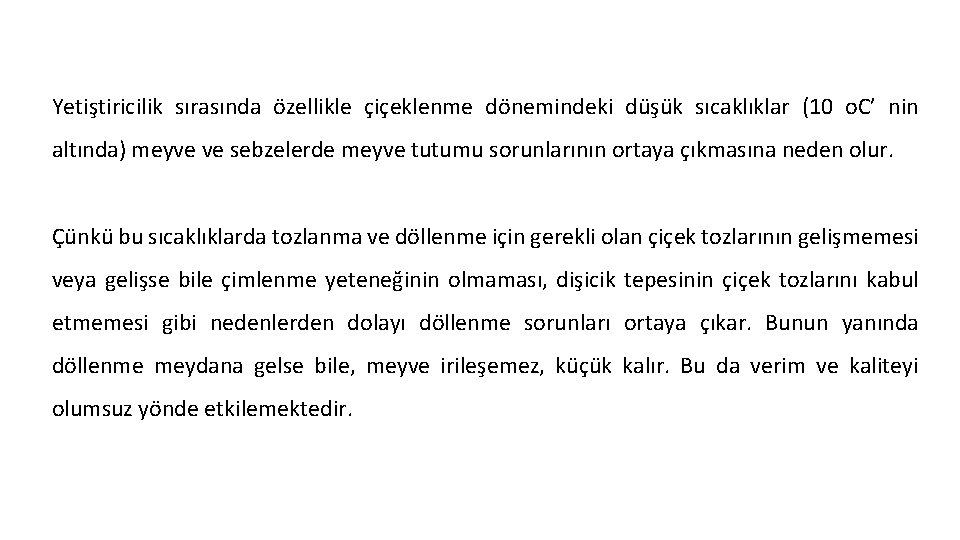 Yetiştiricilik sırasında özellikle çiçeklenme dönemindeki düşük sıcaklıklar (10 o. C’ nin altında) meyve ve