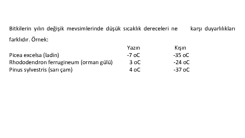 Bitkilerin yılın değişik mevsimlerinde düşük sıcaklık dereceleri ne farklıdır. Örnek: Picea excelsa (ladin) Rhododendron