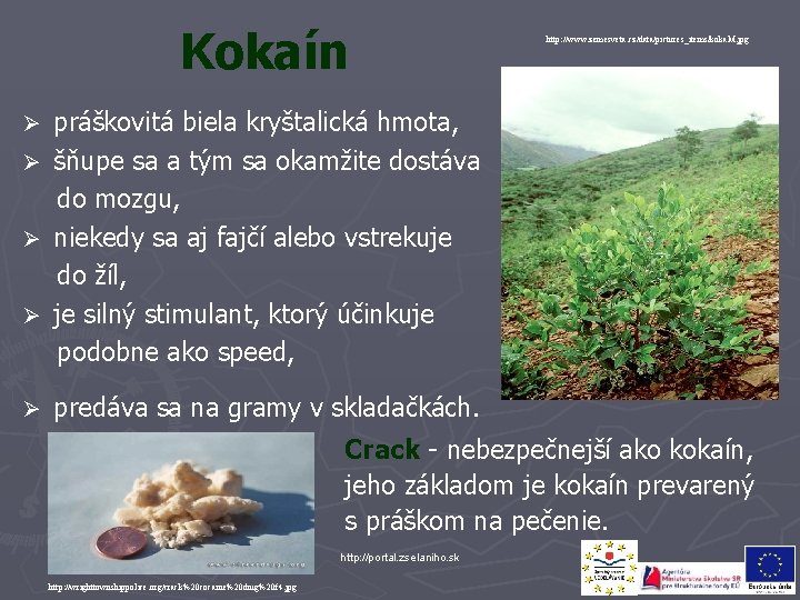 Kokaín http: //www. zemesveta. cz/data/pictures_items/koka. M. jpg práškovitá biela kryštalická hmota, Ø šňupe sa