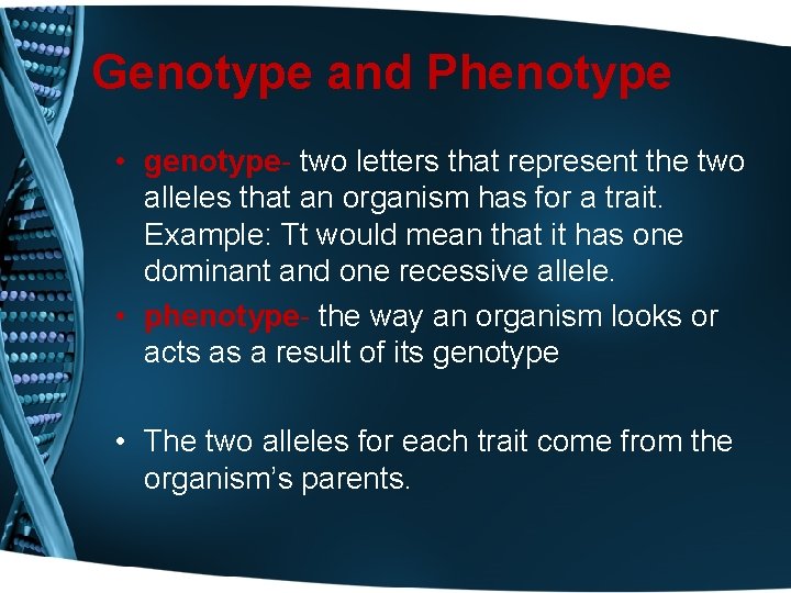 Genotype and Phenotype • genotype- two letters that represent the two alleles that an