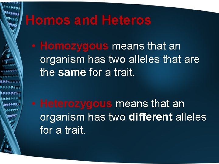 Homos and Heteros • Homozygous means that an organism has two alleles that are