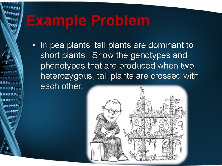 Example Problem • In pea plants, tall plants are dominant to short plants. Show