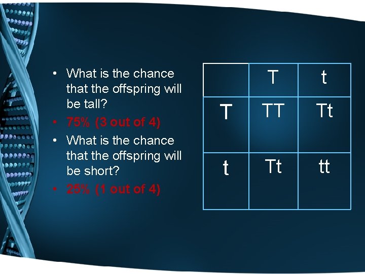  • What is the chance that the offspring will be tall? • 75%