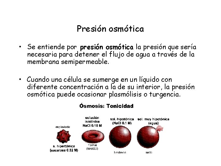 Presión osmótica • Se entiende por presión osmótica la presión que sería necesaria para