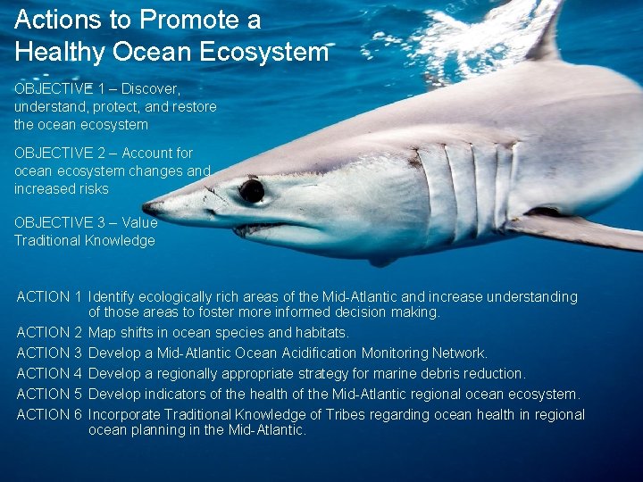 Actions to Promote a Healthy Ocean Ecosystem OBJECTIVE 1 – Discover, understand, protect, and