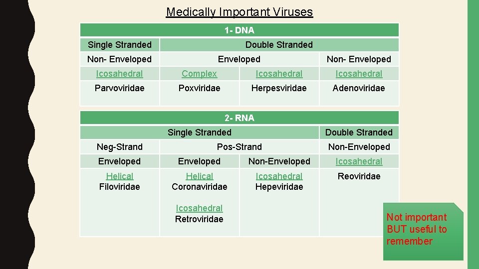 Medically Important Viruses 1 - DNA Single Stranded Double Stranded Non- Enveloped Icosahedral Complex