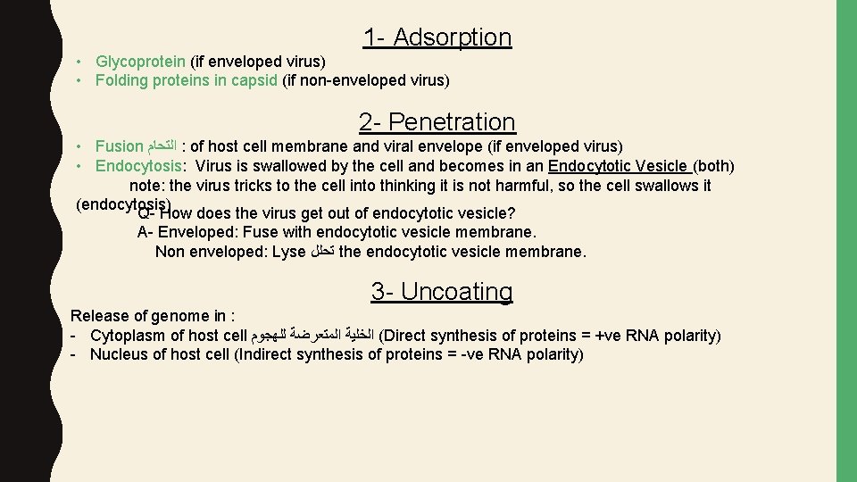 1 - Adsorption • Glycoprotein (if enveloped virus) • Folding proteins in capsid (if