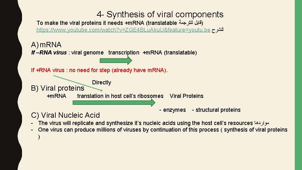 4 - Synthesis of viral components To make the viral proteins it needs +m.