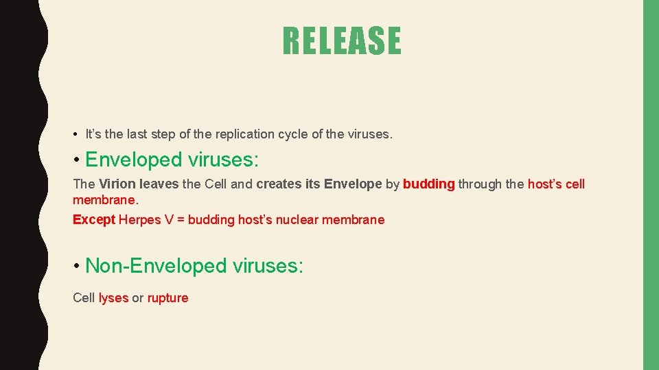 RELEASE • It’s the last step of the replication cycle of the viruses. •
