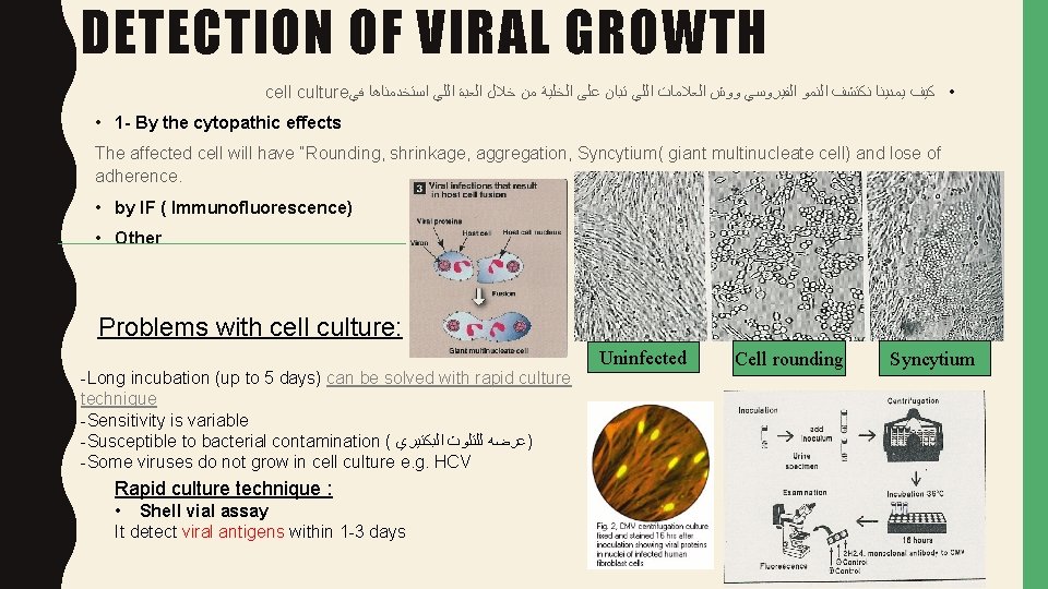DETECTION OF VIRAL GROWTH cell culture ﻓﻲ ﺍﺳﺘﺨﺪﻣﻨﺎﻫﺎ ﺍﻟﻠﻲ ﺍﻟﻌﺒﺓ ﺧﻼﻝ ﻣﻦ ﺍﻟﺨﻠﻴﺔ ﻋﻠﻰ