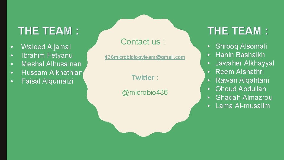 THE TEAM : • • • Waleed Aljamal Ibrahim Fetyanu Meshal Alhusainan Hussam Alkhathlan