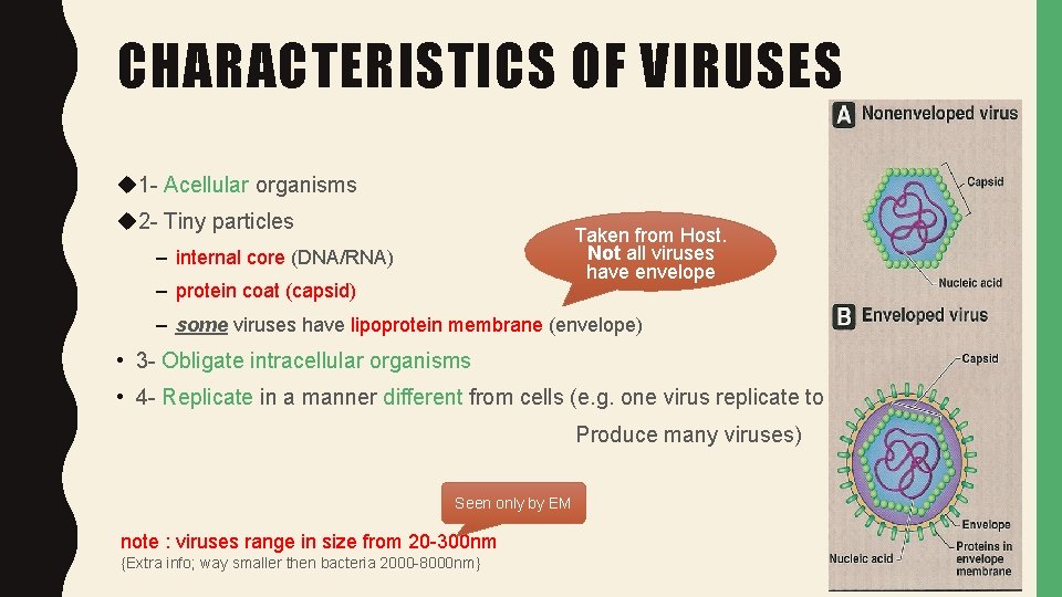 CHARACTERISTICS OF VIRUSES u 1 - Acellular organisms u 2 - Tiny particles Taken