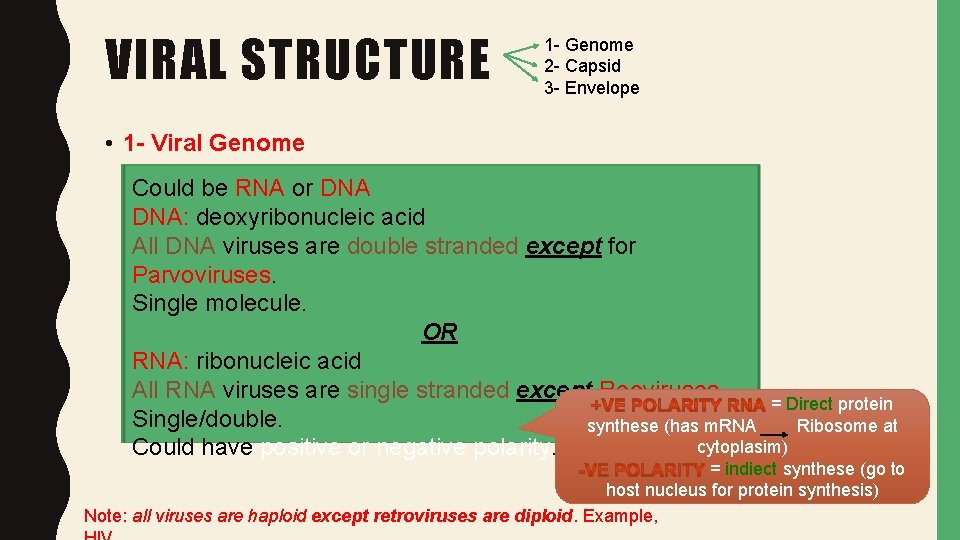 VIRAL STRUCTURE 1 - Genome 2 - Capsid 3 - Envelope • 1 -