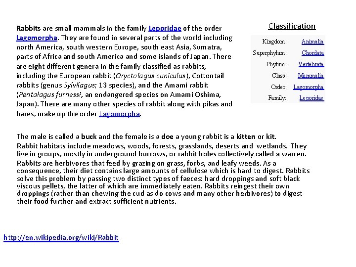 Rabbits are small mammals in the family Leporidae of the order Lagomorpha. They are