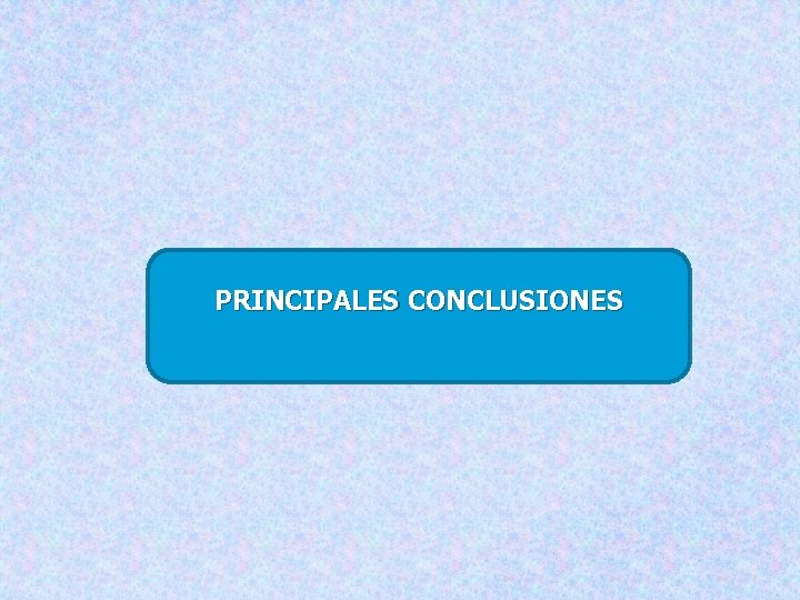 PRINCIPALES CONCLUSIONES 