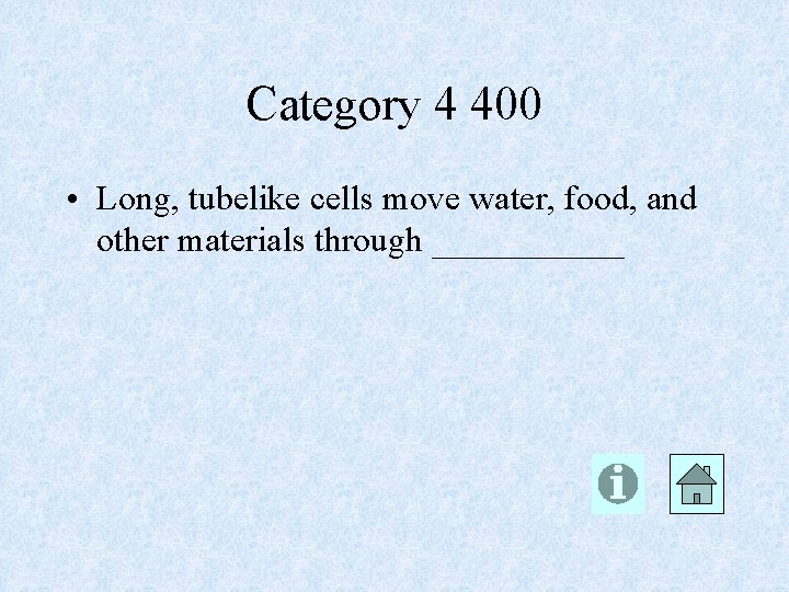 Category 4 400 • Long, tubelike cells move water, food, and other materials through